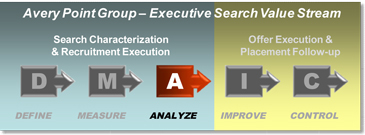 Avery Point Group - Lean Sigma Search - Executive Search Analyze Phase