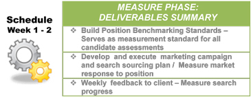 Lean Sigma Search - Measure Deliverables